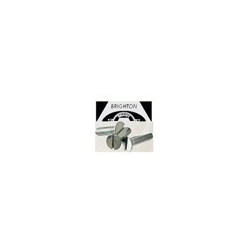 Machine Screw, 1/4 in-20 Diameter - Thread, 7/8 in L, Flat Head, Zinc Plated, Slotted Drive