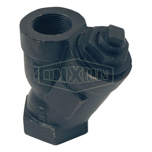 Dixon® Y005 Y-Line Strainer, 1 in Nominal, FPT