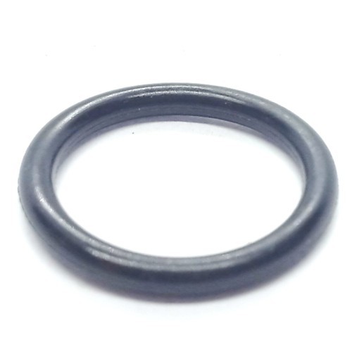 BECK America FASCO America® FASA/622026 O-Ring