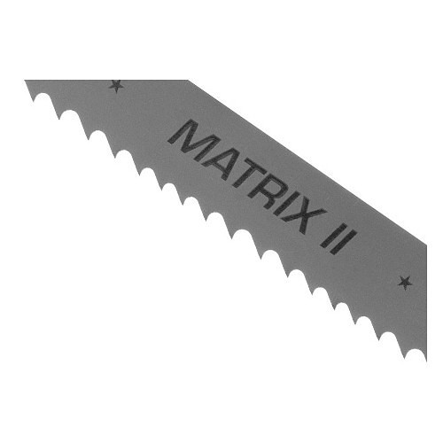 ÿ