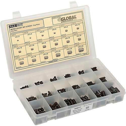 Sarjo FK06630 Metric Socket Set Screw, Stainless Steel