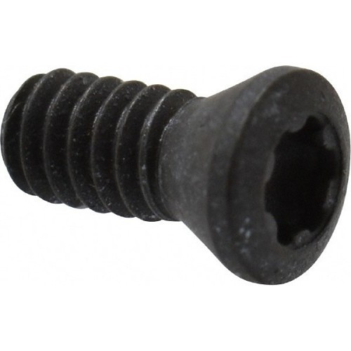 Seco 16700 Lock Screw, Torx Plus Drive