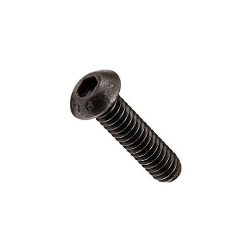 Socket Cap Screw, Button Head, Imperial, 1/4-20 in, 1/2 in Overall Length