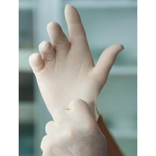 PT Solutions Great Glove KB414010 Disposable Gloves, Medium, #8, Latex, White