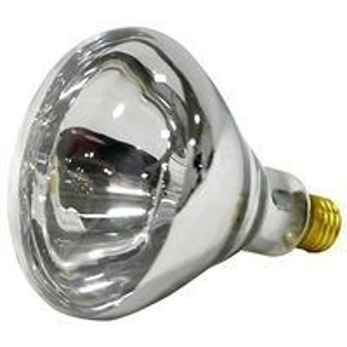 Reflector Heat Lamp, 250 W, BR40 Lamp Base Type, Incandescent Lamp, 120 V