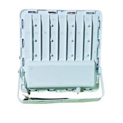 General Purpose Light, 100 W