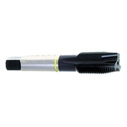 ER80Y1001024 Spiral Point Tap, #10-24 Thread, H3 Thread Limit, 3 Flutes, 3% Vanadium, High Speed Steel, Stainless Steel Material Application