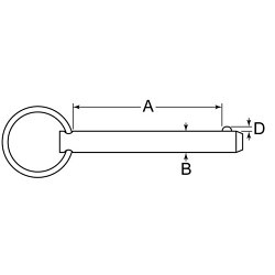 G.L.HUYETT™ 25R200PDT Detent Pin, 1/4 in Dia