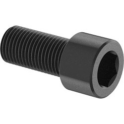 MCMASTER-CARR® 96144A294 Socket Cap Screw, Fully Threaded, Right Hand Thread, Measurement System: Metric, M12-1.75, 25 mm Overall Length, Alloy Steel, 12.9 Grade