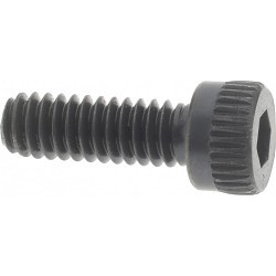 PLT 04248993 Indexable Screw