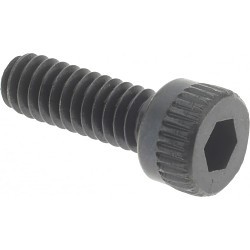 PLT 04248993 Indexable Screw