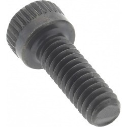 PLT 04248993 Indexable Screw