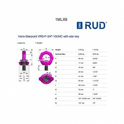 RUD® 7104483 Hoist Ring, 5070 lb, 0 deg Pivot Angle, 360 deg Swivel, 1-37/64 in Bail Dia, 3/4-10 in