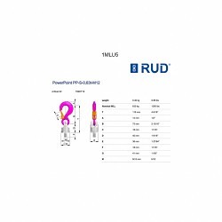 RUD® 7990719 Hoist Ring, 1380 lb, 180 deg Pivot Angle, 360 deg Swivel, M12 x 1.75