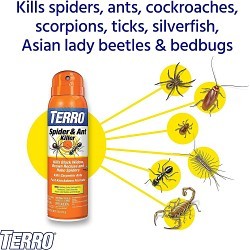 TERRO T2302-6 Spider Killer Spray, Can, 16 oz, Liquid, Off-White, Fat