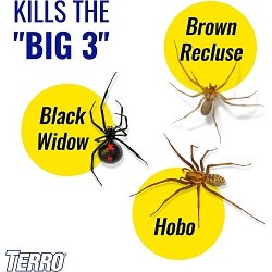 TERRO T2302-6 Spider Killer Spray, Can, 16 oz, Liquid, Off-White, Fat