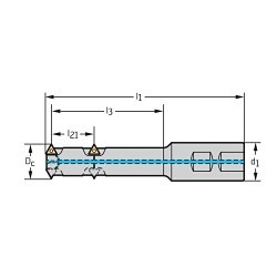 Walter 6953362 T2711 Internal Weldon Shank Indexable Thread Milling Cutter With Through Coolant, 19 mm Dia Cutting, 24 mm Max Hole Depth, 6 Insert, T2711 Tool Holder